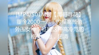 [MP4/501MB]【屌哥寻花】重金2000一炮，约操高颜值外围女神，征服这种高冷范的格外刺激，超清