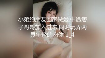 [MP4/ 653M]&nbsp;&nbsp; 文静乖巧顶级美妞，自带情趣女仆装，侧躺着大屌插嘴，开档黑丝张开双腿爆插，扶着细腰站立后入