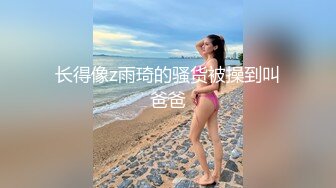 布丁大法 爱心女仆