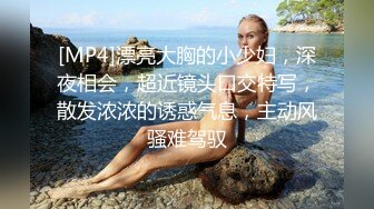 [MP4]漂亮大胸的小少妇，深夜相会，超近镜头口交特写，散发浓浓的诱惑气息，主动风骚难驾驭