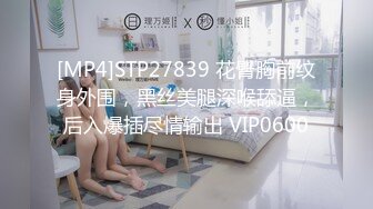 [MP4/ 3.6G]&nbsp;&nbsp;约炮推特大神SOUR约啪良家人妻甄选，很主动，迫不及待子扒下裤子