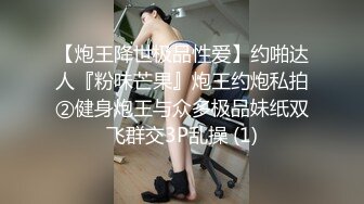 胸围的诱惑 樋口三叶