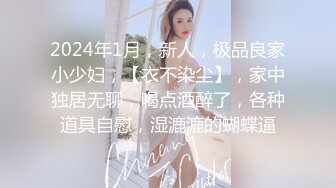 2024年1月，新人，极品良家小少妇，【衣不染尘】，家中独居无聊，喝点酒醉了，各种道具自慰，湿漉漉的蝴蝶逼