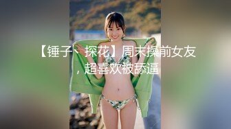 放浪传媒FX-0003傲慢女上司