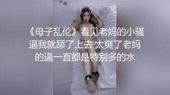 小嫂子爱上了我买的玩具