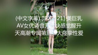 济南后入纹身骚女2