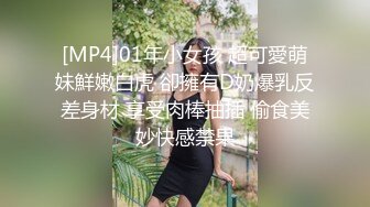 女仆少女 能否满足你的少女梦