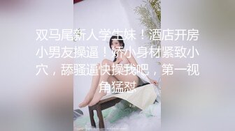 玩具插老婆2