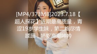 FC2-PPV-2666173 美人妻【THE外遇】下午1400老公不在的时候，被白天的美女从背后戳的失意老婆的整个故事惊呆了，摇著大奶，尖叫著