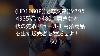 (HD1080P)(男尊女卑)(fc3964935)品で480！男尊女卑、秋の先取りセール！高額商品を出す販売者を殲滅せよ！！！ (2)