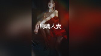 潘思沁 性感写真 性感粉色镂空情趣服饰 巨乳肥臀媚态十足[83P/129M]