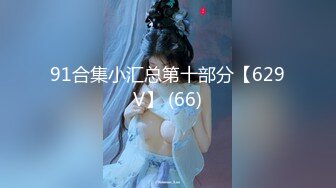 91合集小汇总第十部分【629V】 (66)