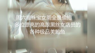 约炮大神凡哥与女神空姐的完美邂逅 制服诱惑灰丝后入丰臀内射