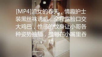 麻豆传媒-致富女人的性玩具-沈娜娜