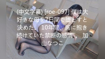 (中文字幕) [roe-097] 僕は大好きな母を7日間で堕とすと決めた。 10年間、胸に抱き続けていた禁断の感情―。 加山なつこ