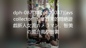 dph-087(33dph00087)[avscollector’s]非日常的悶絶遊戯新人女流カメラマン、智美の場合高原智美