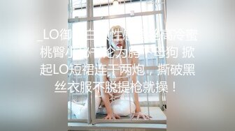 _LO御姐白领性感黑丝高冷蜜桃臀小秘书沦为胯下母狗 掀起LO短裙连干两炮，撕破黑丝衣服不脱提枪就操！