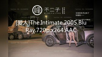 [爱人]The.Intimate.2005.BluRay.720p.x264.AAC