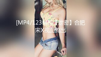 [MP4/123MB]【泄密】合肥宋X视图流出