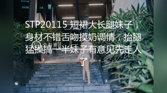 STP20115 短裙大长腿妹子，身材不错舌吻摸奶调情，抬腿猛操搞一半妹子有意见先走人了